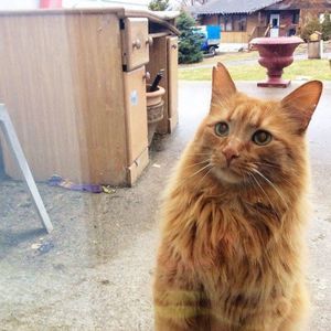 Meet your Posher, Reilly